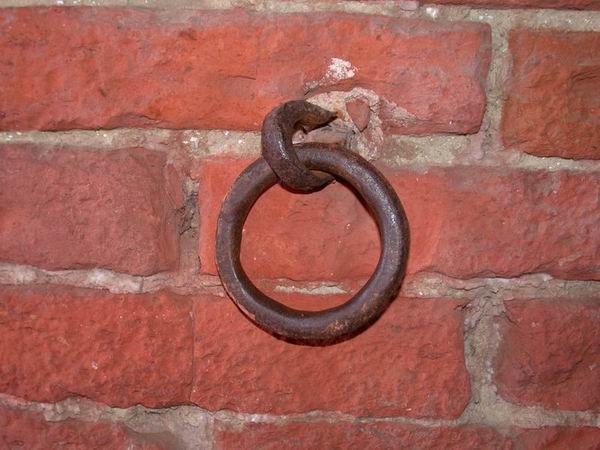 Con e senza flash...